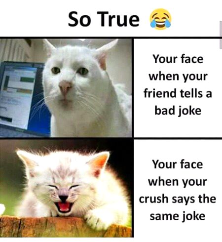 Memes & Satire image
