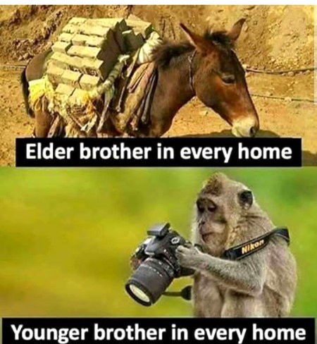Memes & Satire image