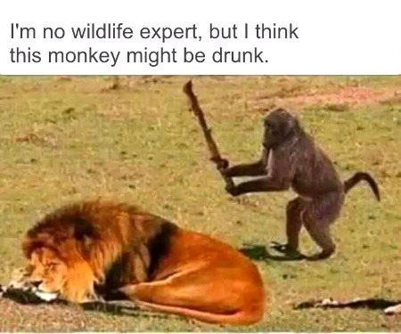 Funny joke