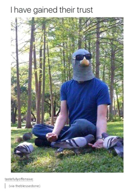 Memes & Satire image