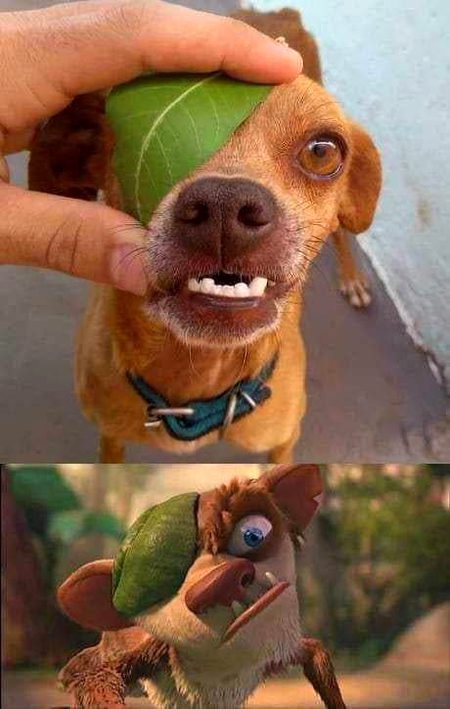 Funny joke