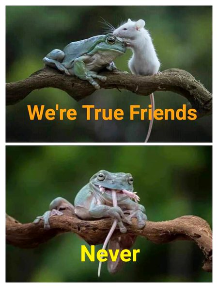 Funny joke