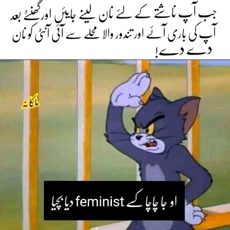 Memes & Satire image