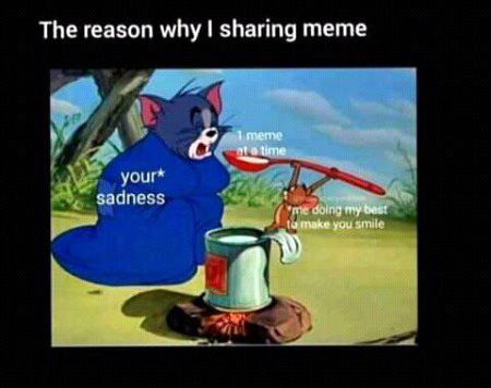 Memes & Satire image