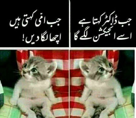 Funny joke