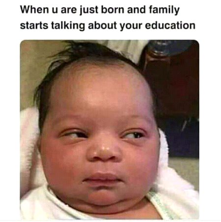 Memes & Satire image