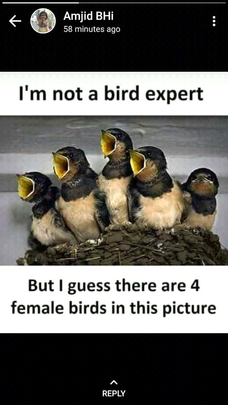 Funny joke