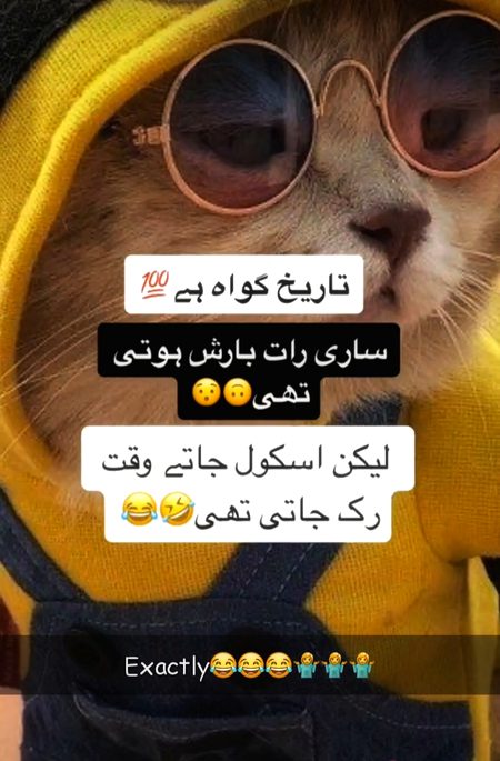 Memes & Satire image