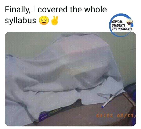 Memes & Satire image