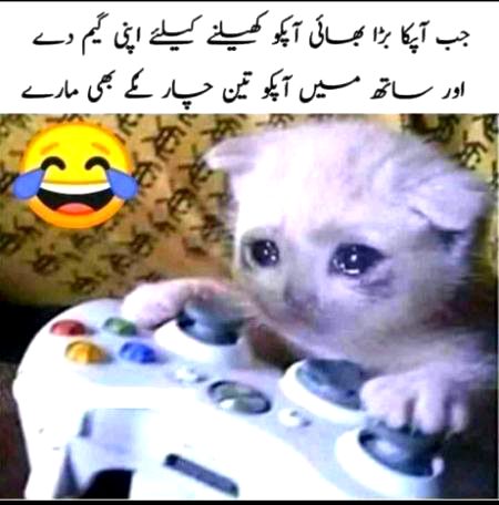 Funny joke