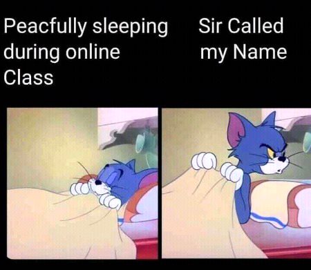 Memes & Satire image