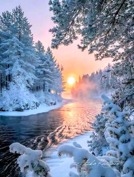 Good evening