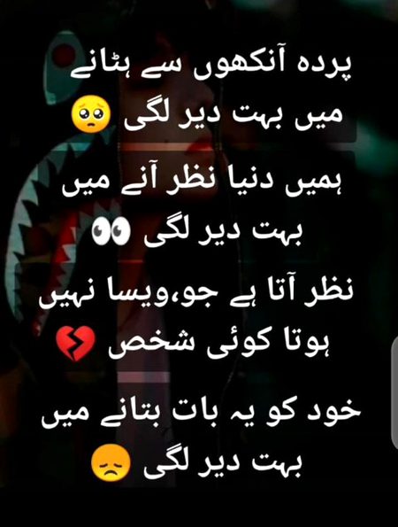 Good evening