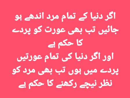 Good evening