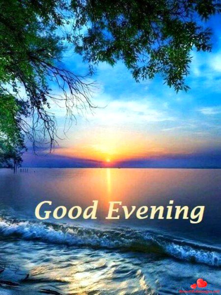 Good evening