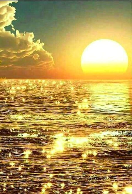 Good evening