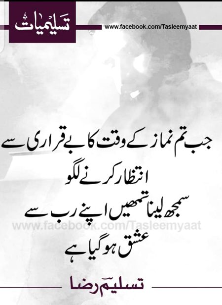 Good evening