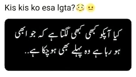 Good evening