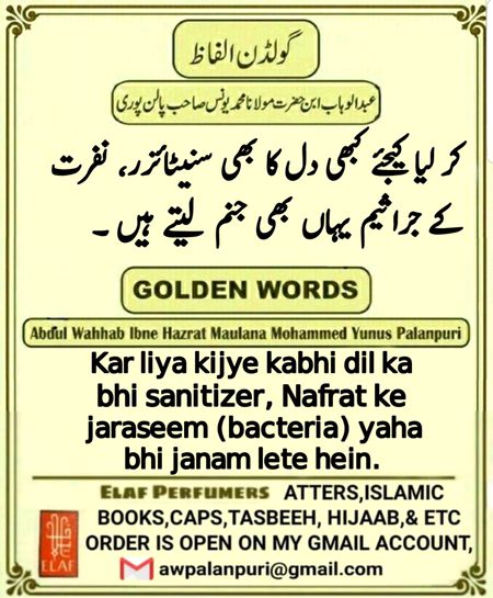 Good evening