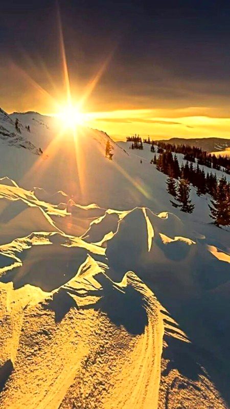 Good morning