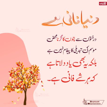 Good morning