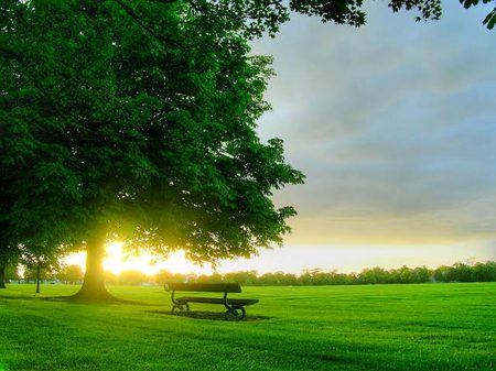 Good morning