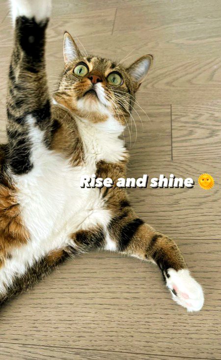 Good morning