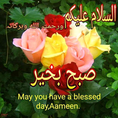 Good morning