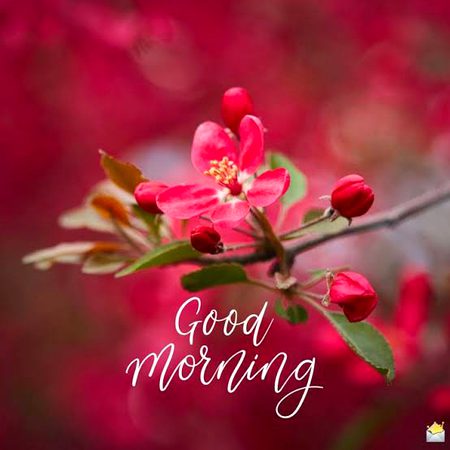 Good morning