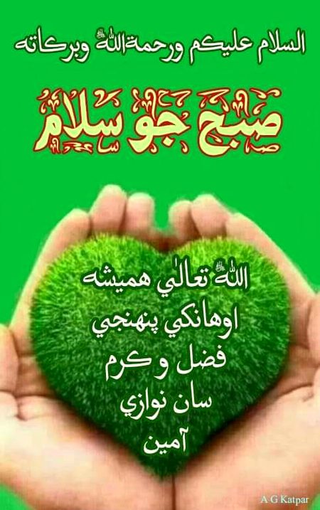 Good morning