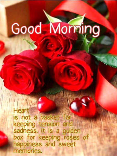 Good morning