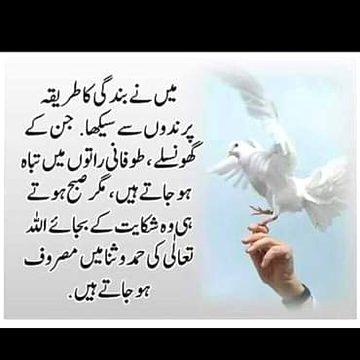 Good morning