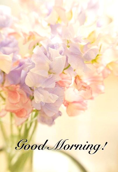 Good morning