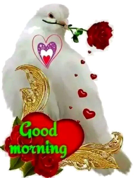 Good morning