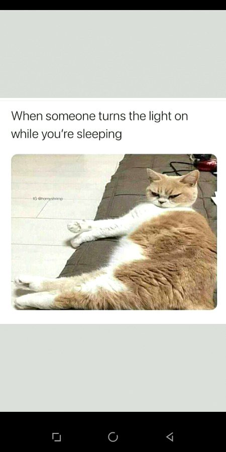 Good morning