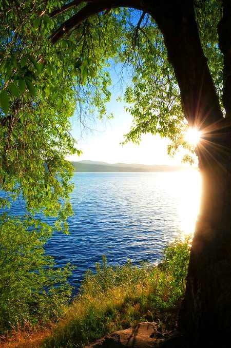 Good morning