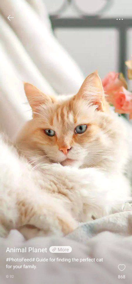 Good morning