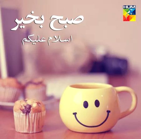 Good morning
