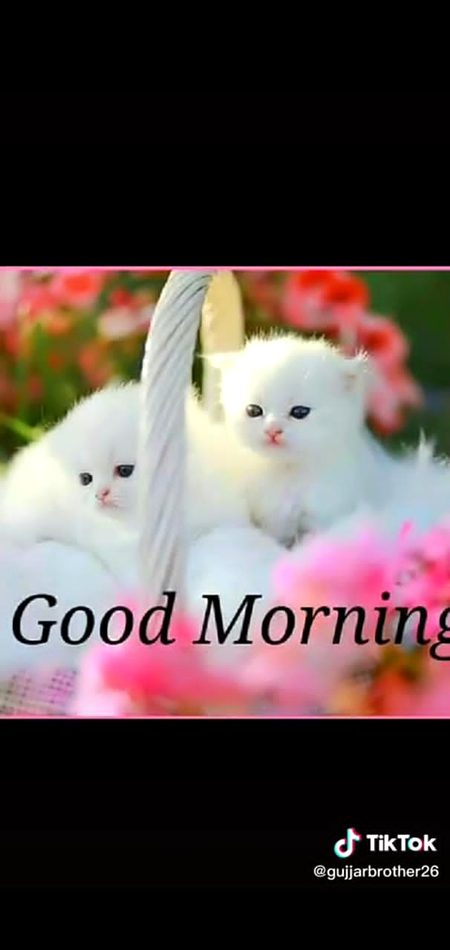 Good morning