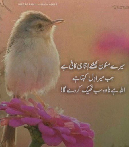 Good morning
