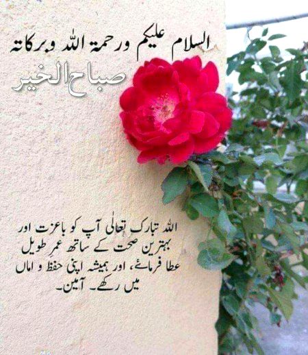 Good morning