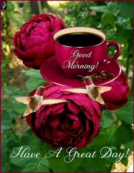 Good morning
