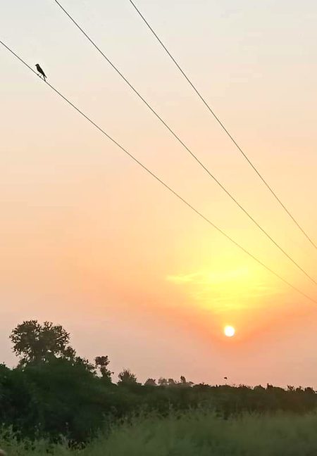 Beautiful Nature image