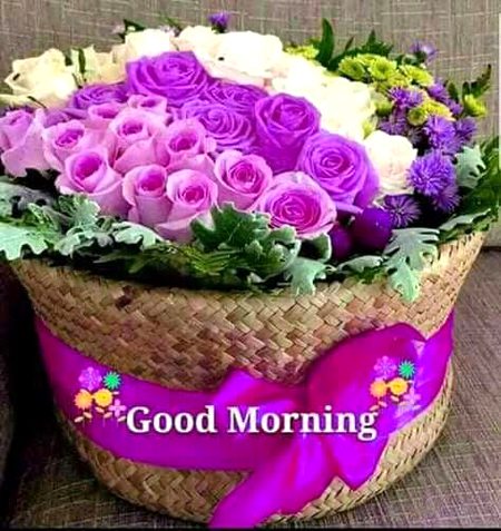 Good morning