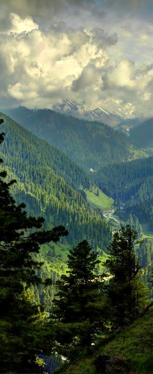 Beautiful Nature image