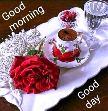 Good morning