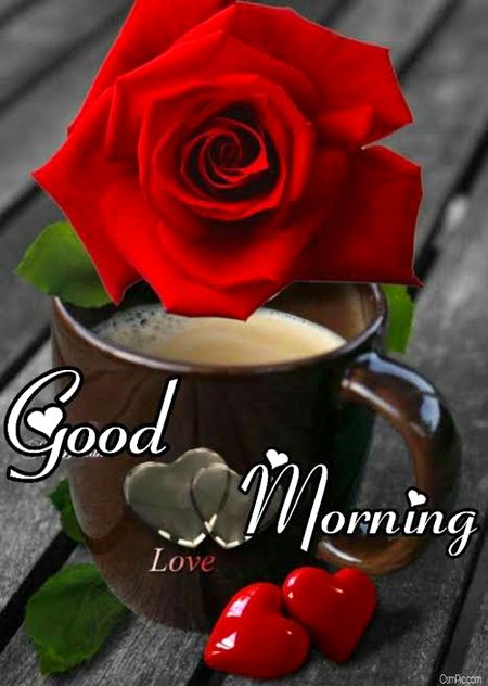 Good morning