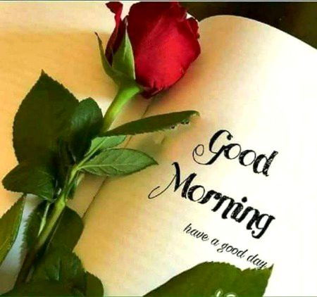 Good morning