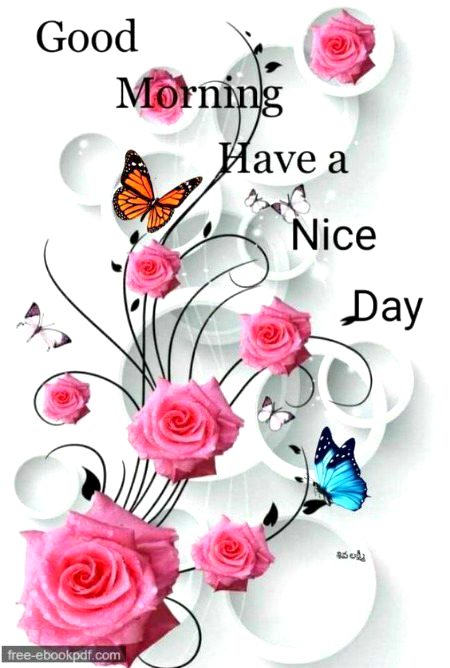Good morning