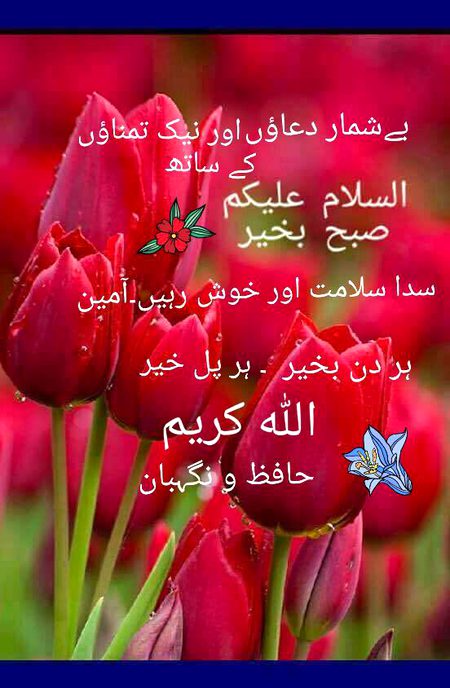 Good morning